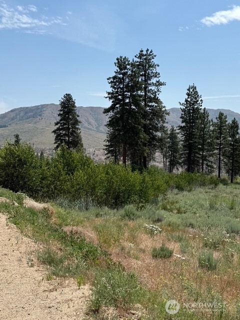 3 Ruttin Ridge Road Property Photo 25
