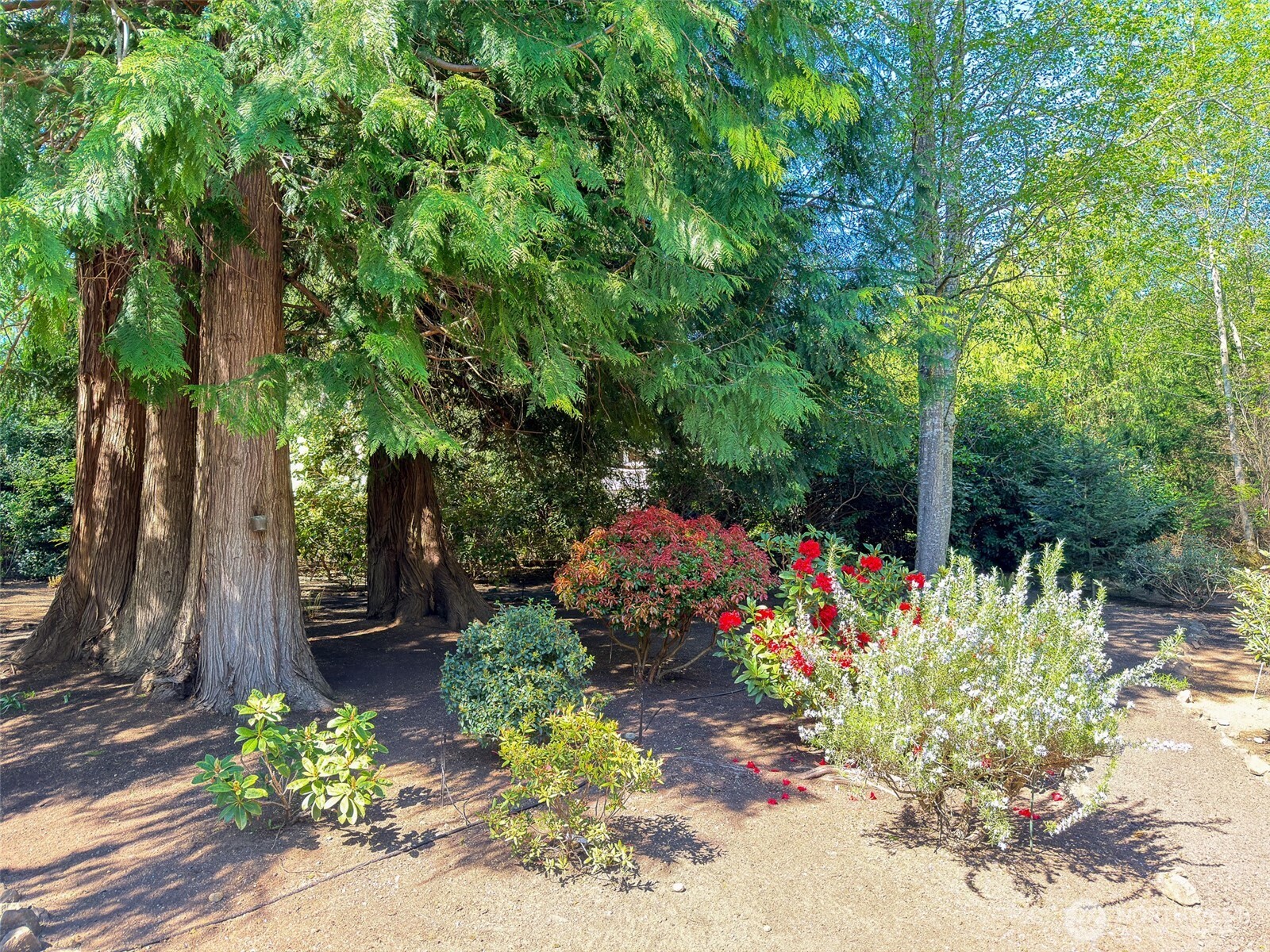 33 Goldfinch Lane Property Photo 11