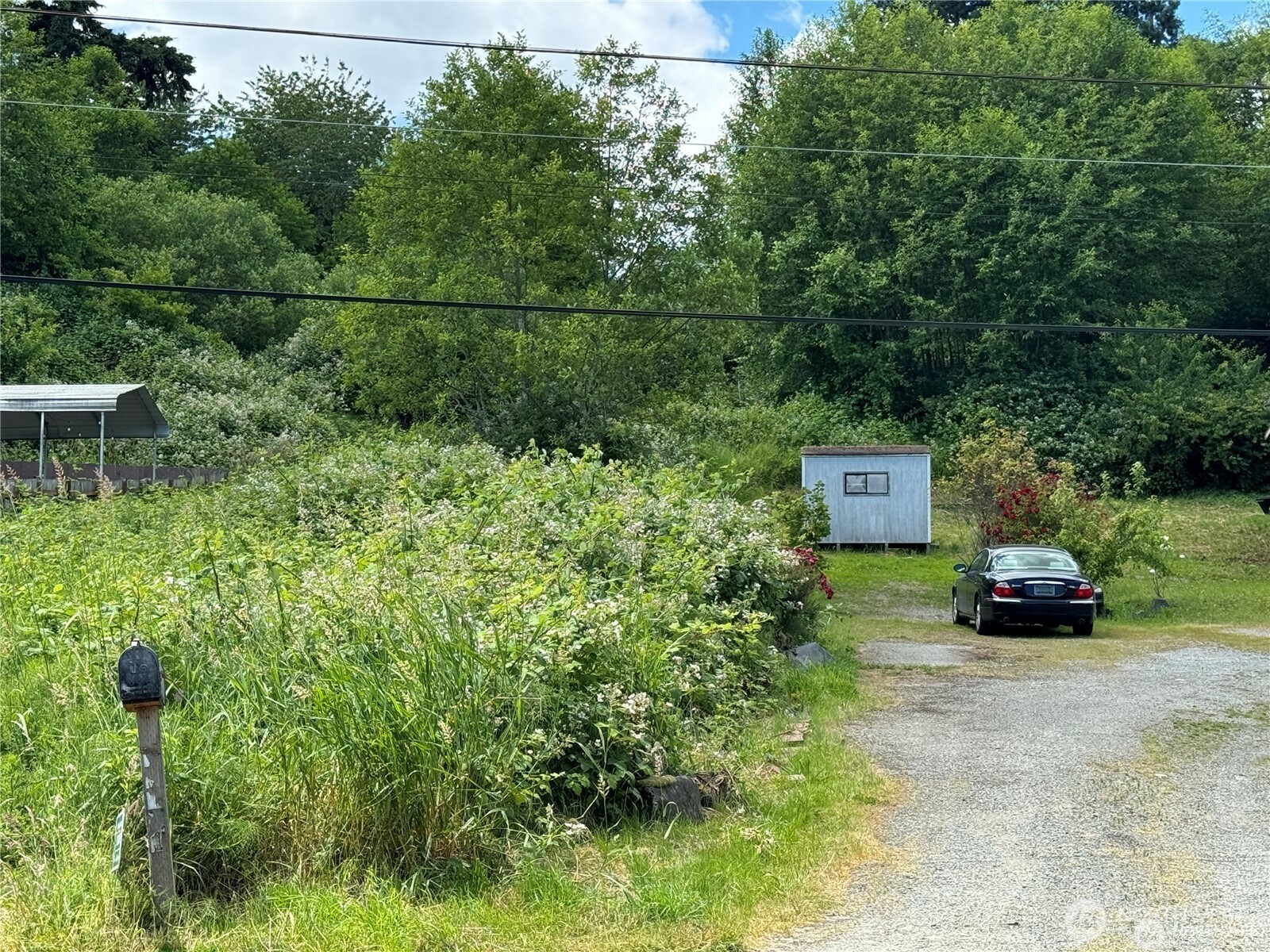 14253 Macadam Road Property Photo 4