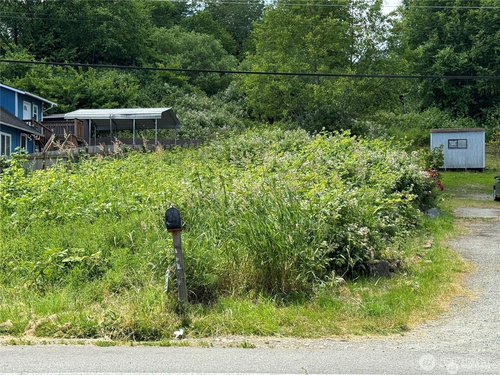 14253 Macadam Road Property Photo 6