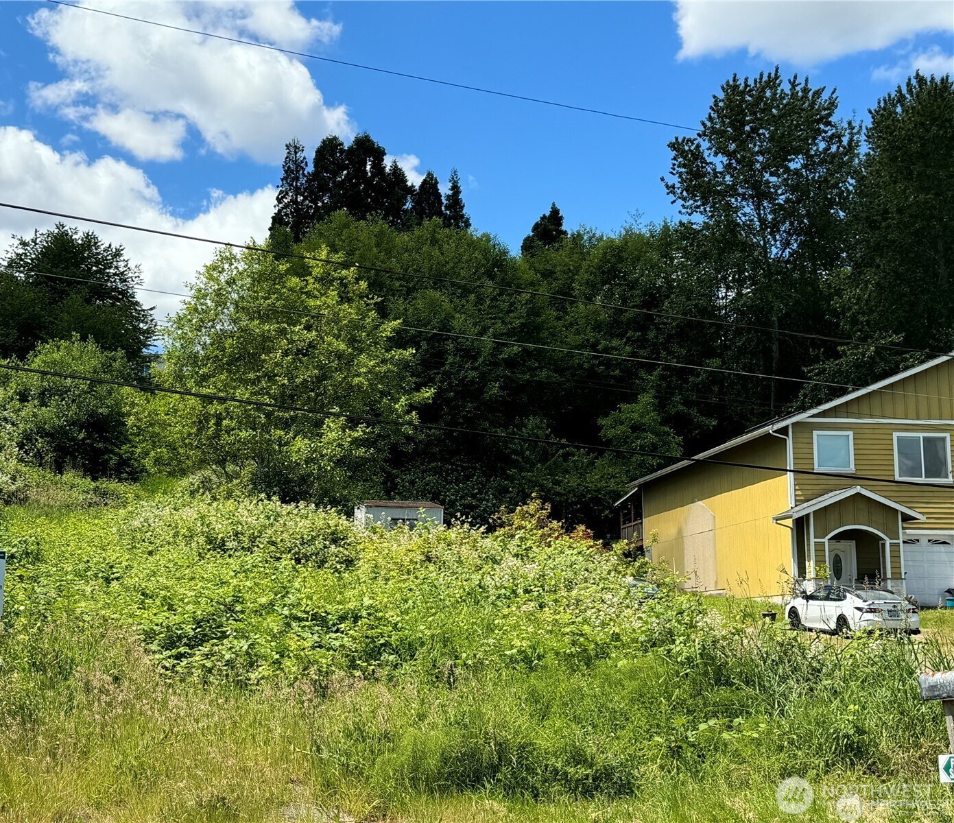14253 Macadam Road Property Photo 18