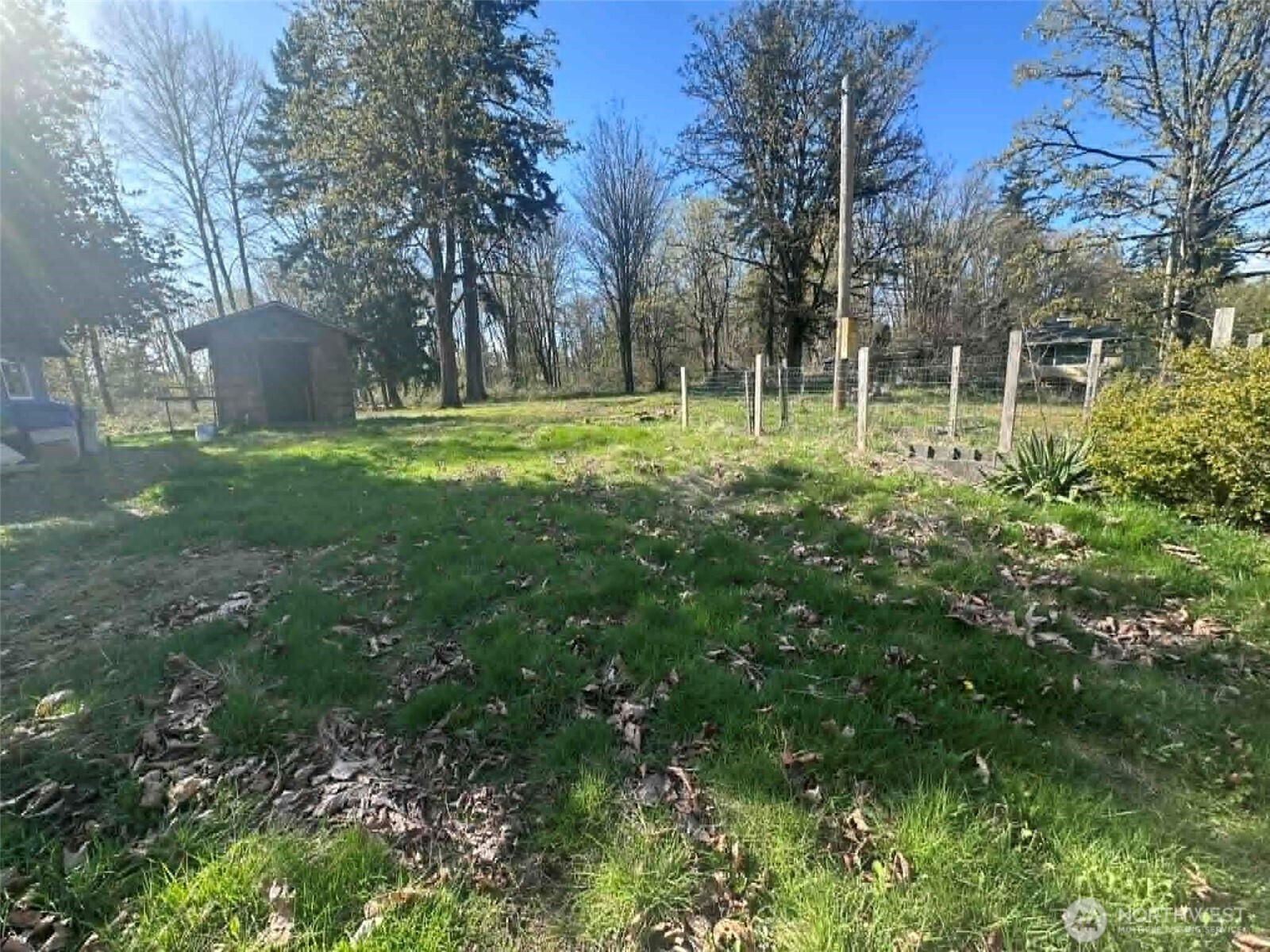 12843 175th Avenue Property Photo 5