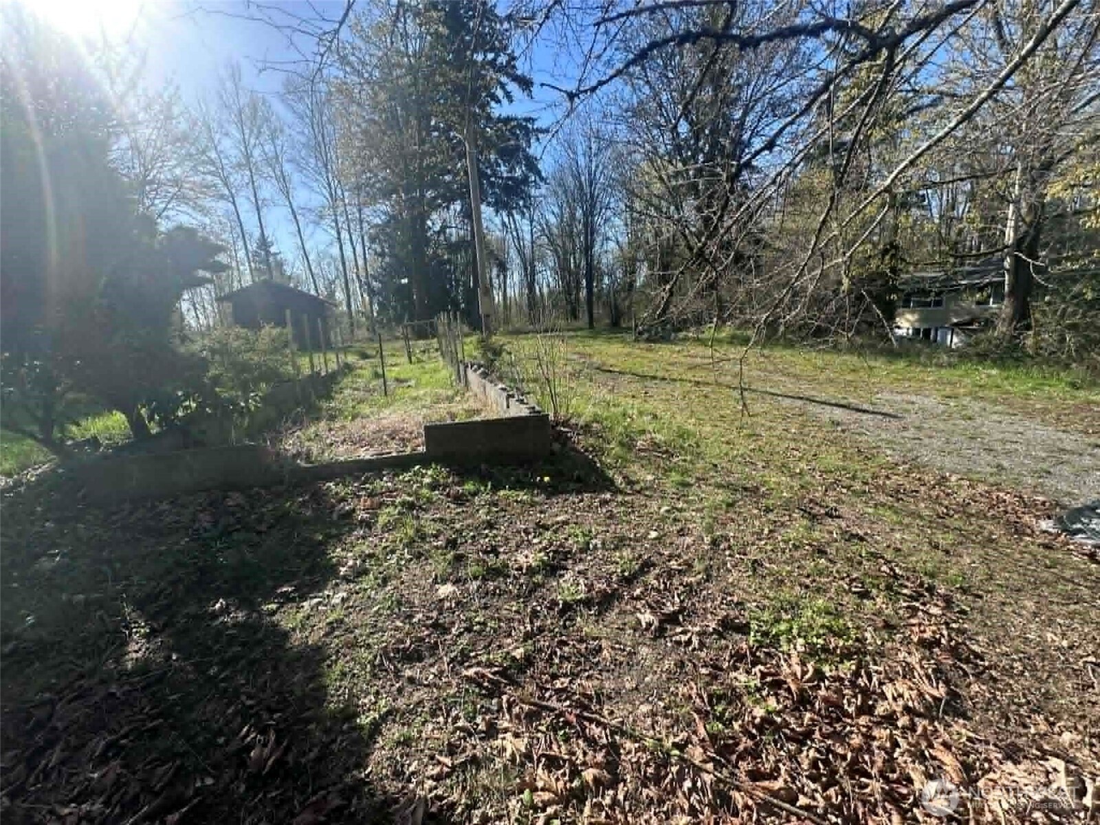 12843 175th Avenue Property Photo 7