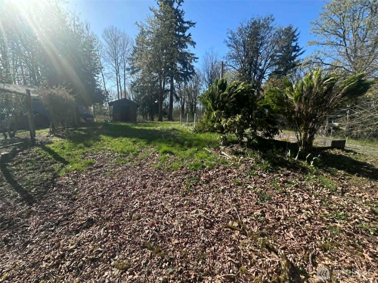 12843 175th Avenue Property Photo 8