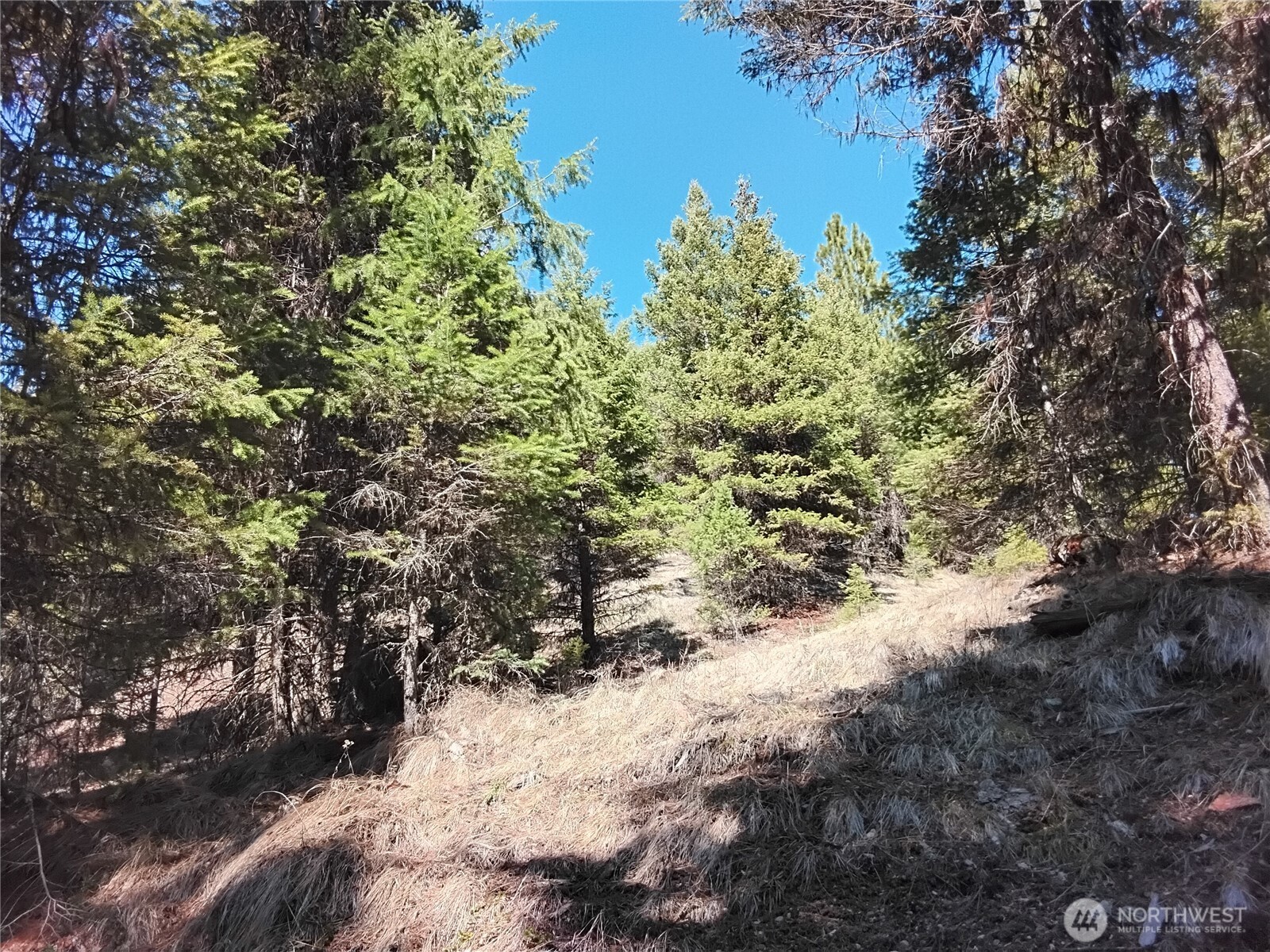 44 Trapline Loop Road Property Photo 1