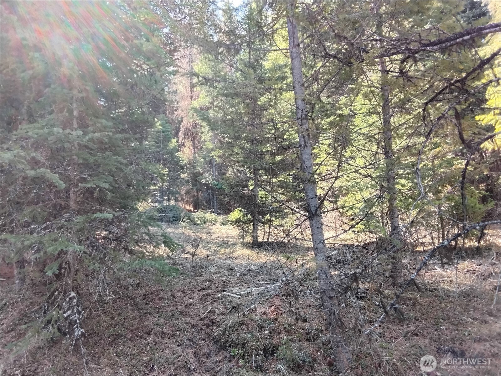 44 Trapline Loop Road Property Photo 2