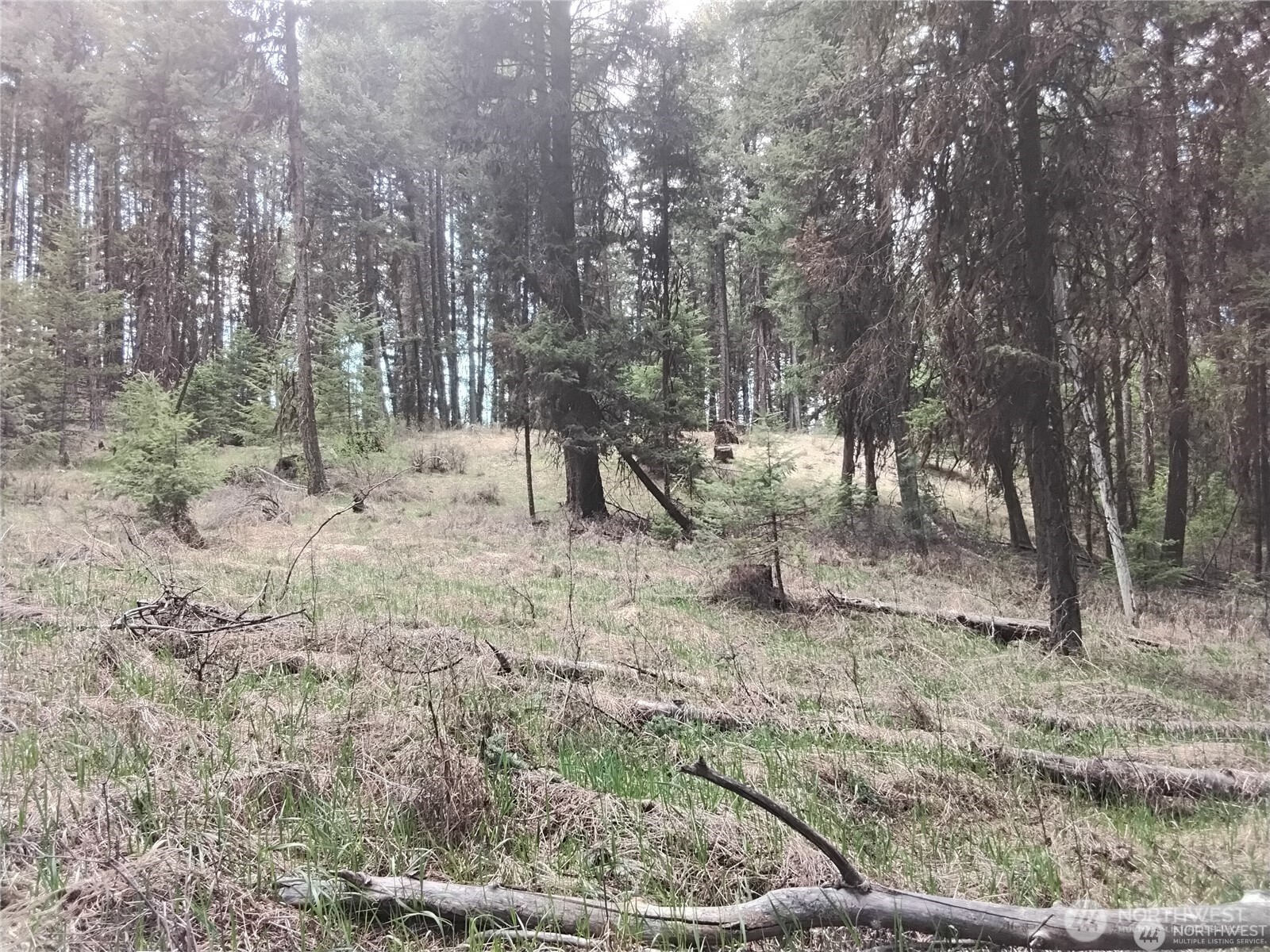 44 Trapline Loop Road Property Photo 3