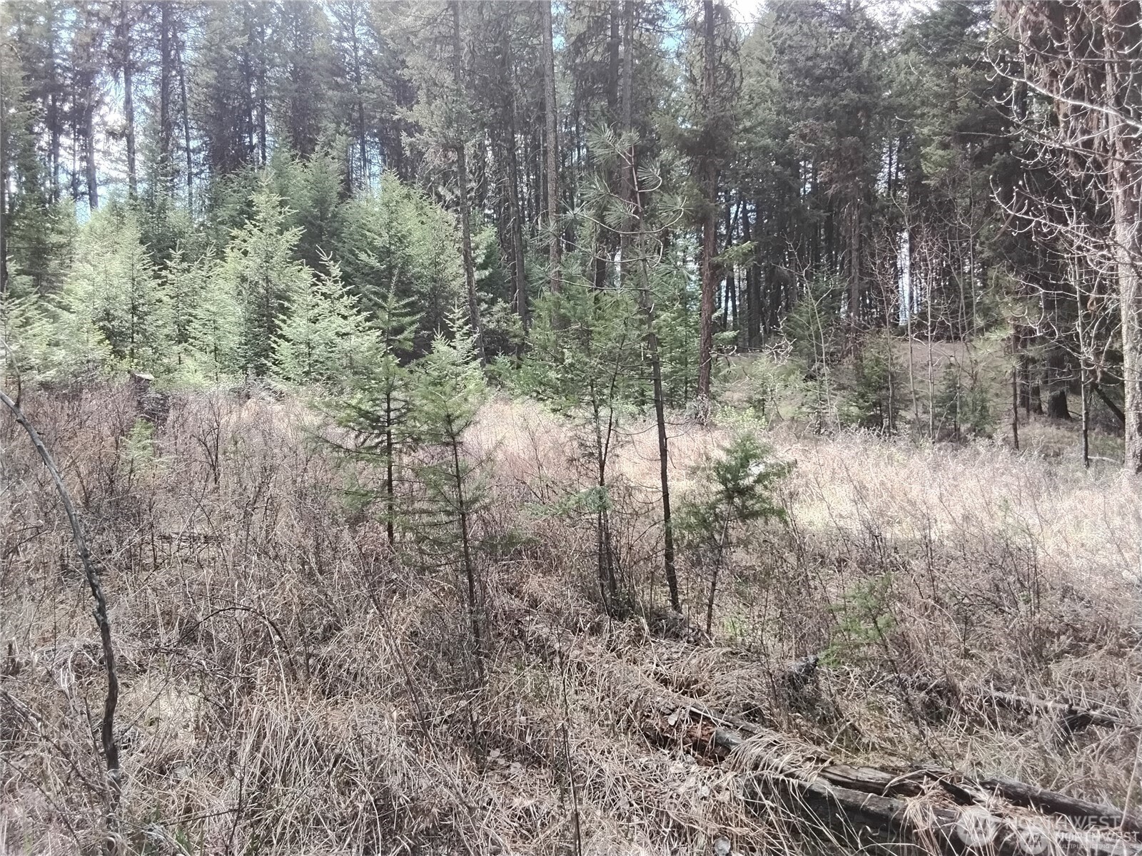 44 Trapline Loop Road Property Photo 4