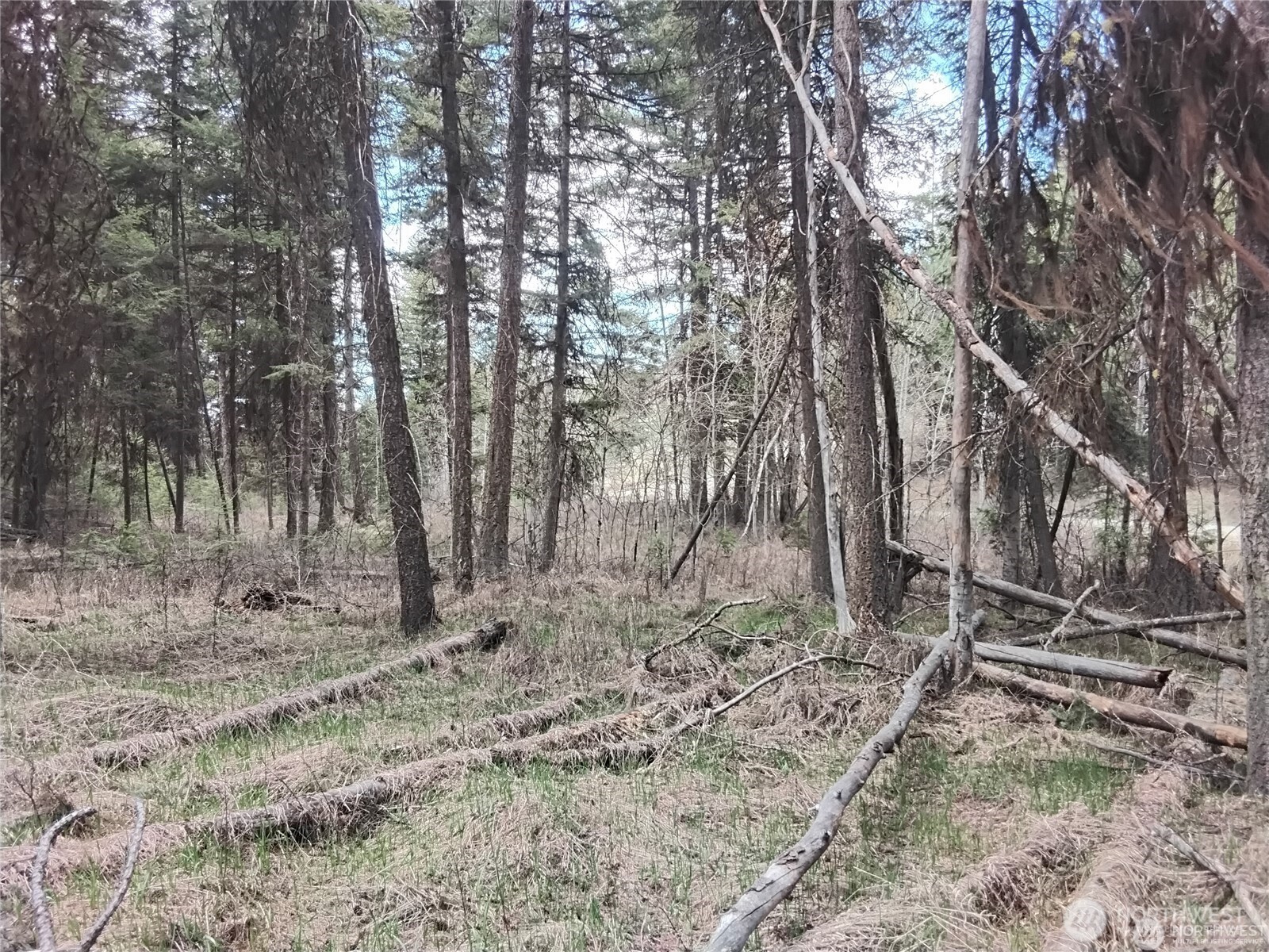 44 Trapline Loop Road Property Photo 5