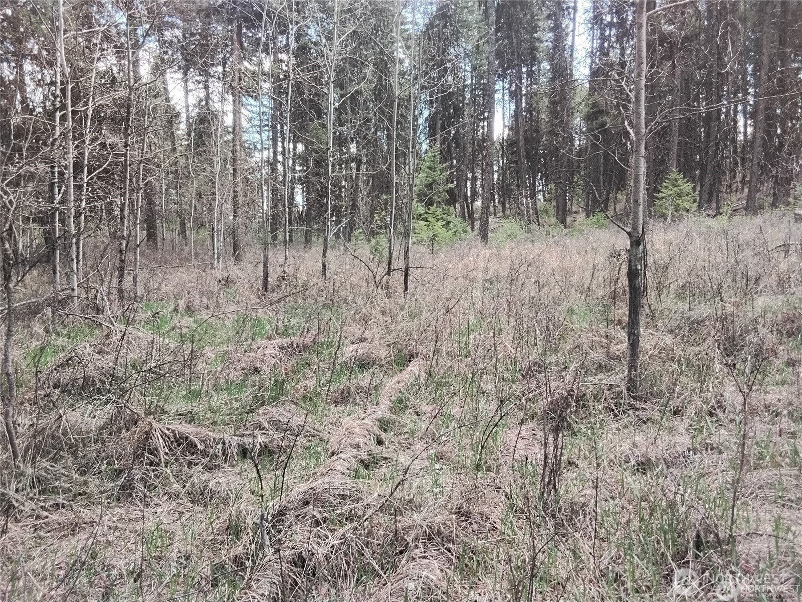 44 Trapline Loop Road Property Photo 6
