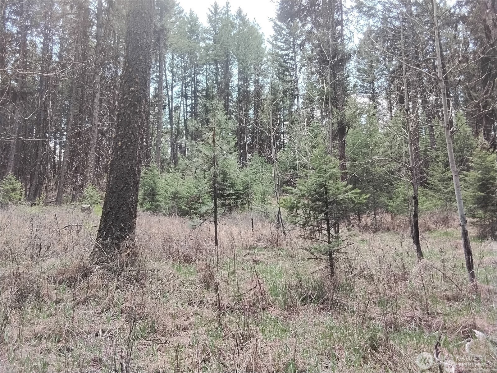 44 Trapline Loop Road Property Photo 7