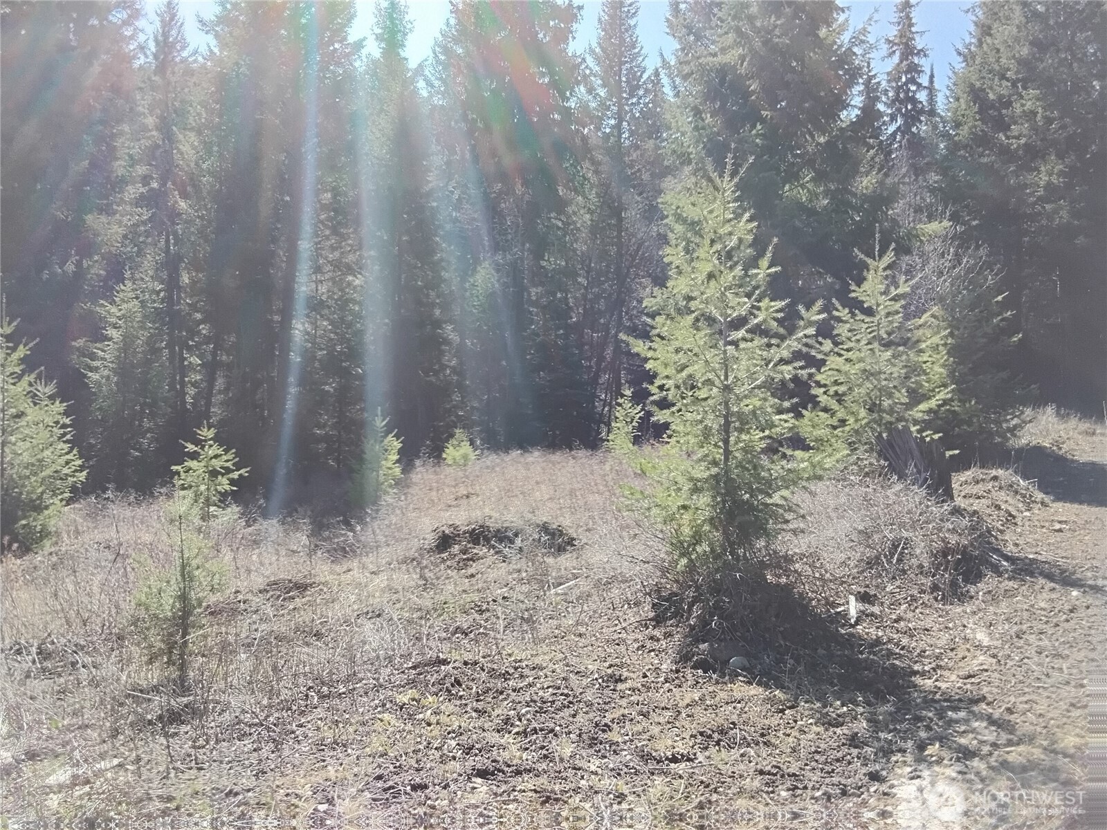44 Trapline Loop Road Property Photo 9