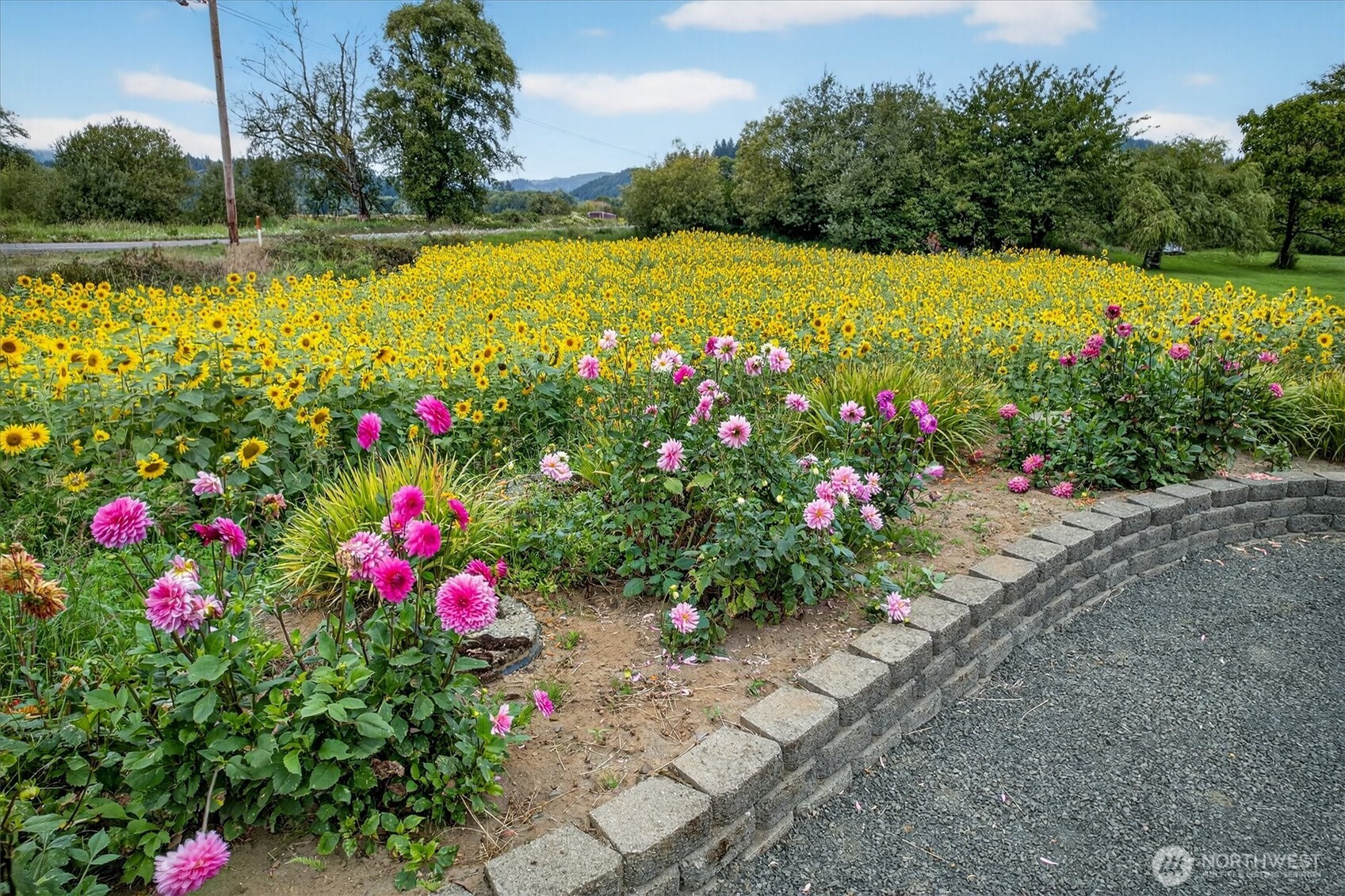 1710 W State Route 4 Property Photo 17