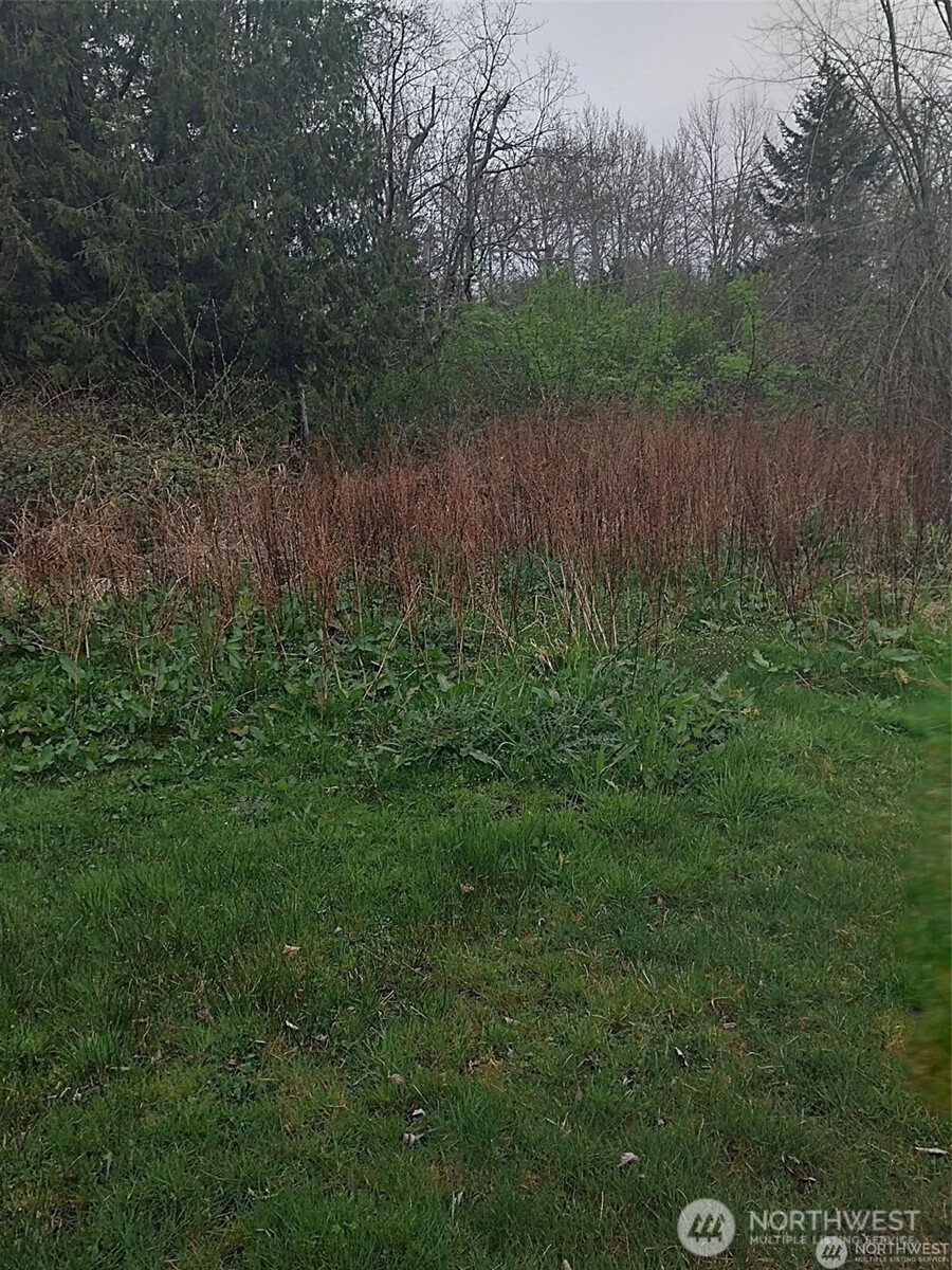 500 Moose Trail Property Photo 38