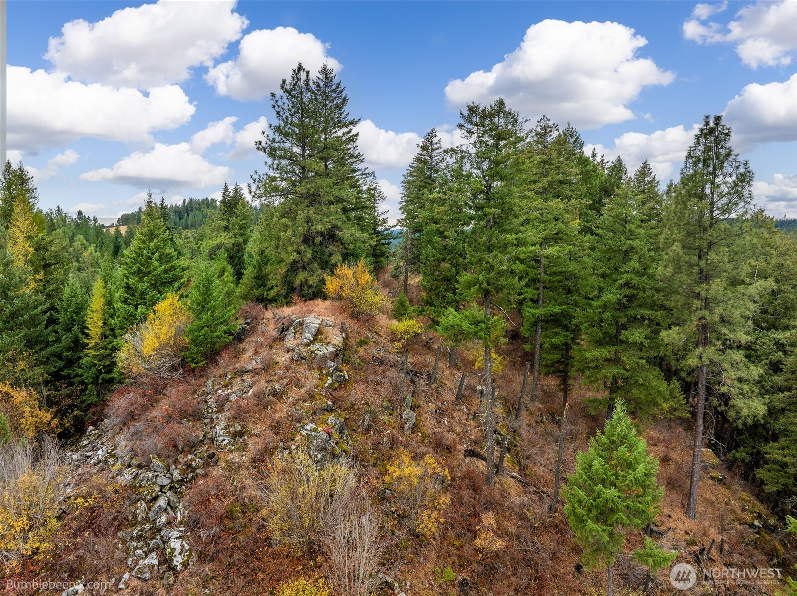 0 Xx Chain Lake Drive Property Photo 19