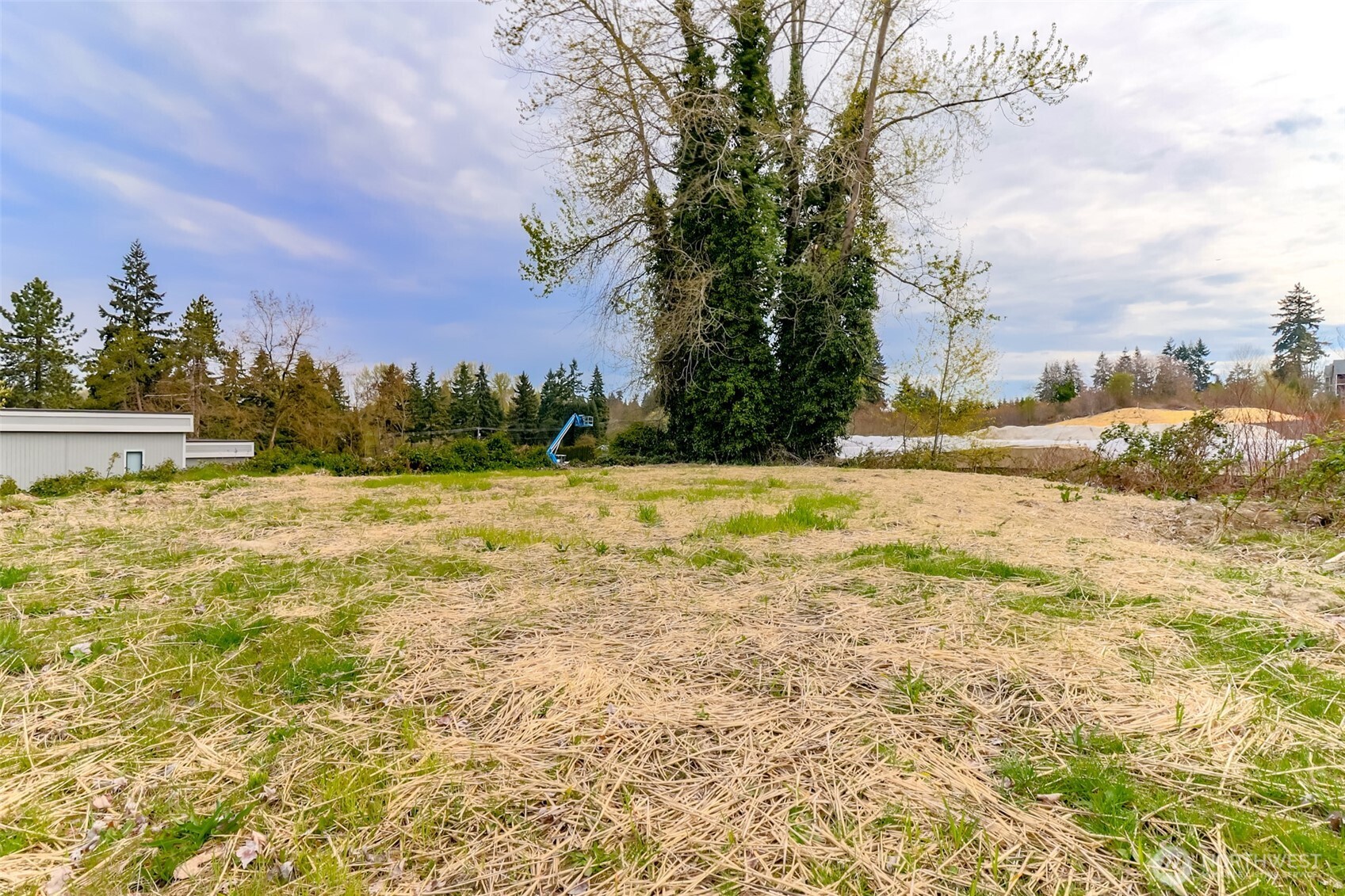1725 Meridian Avenue Property Photo 4