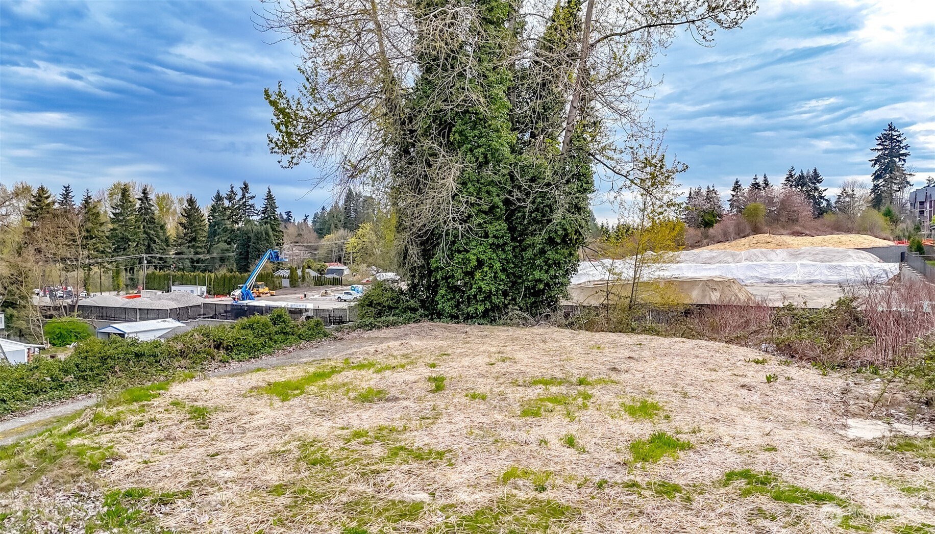 1725 Meridian Avenue Property Photo 11