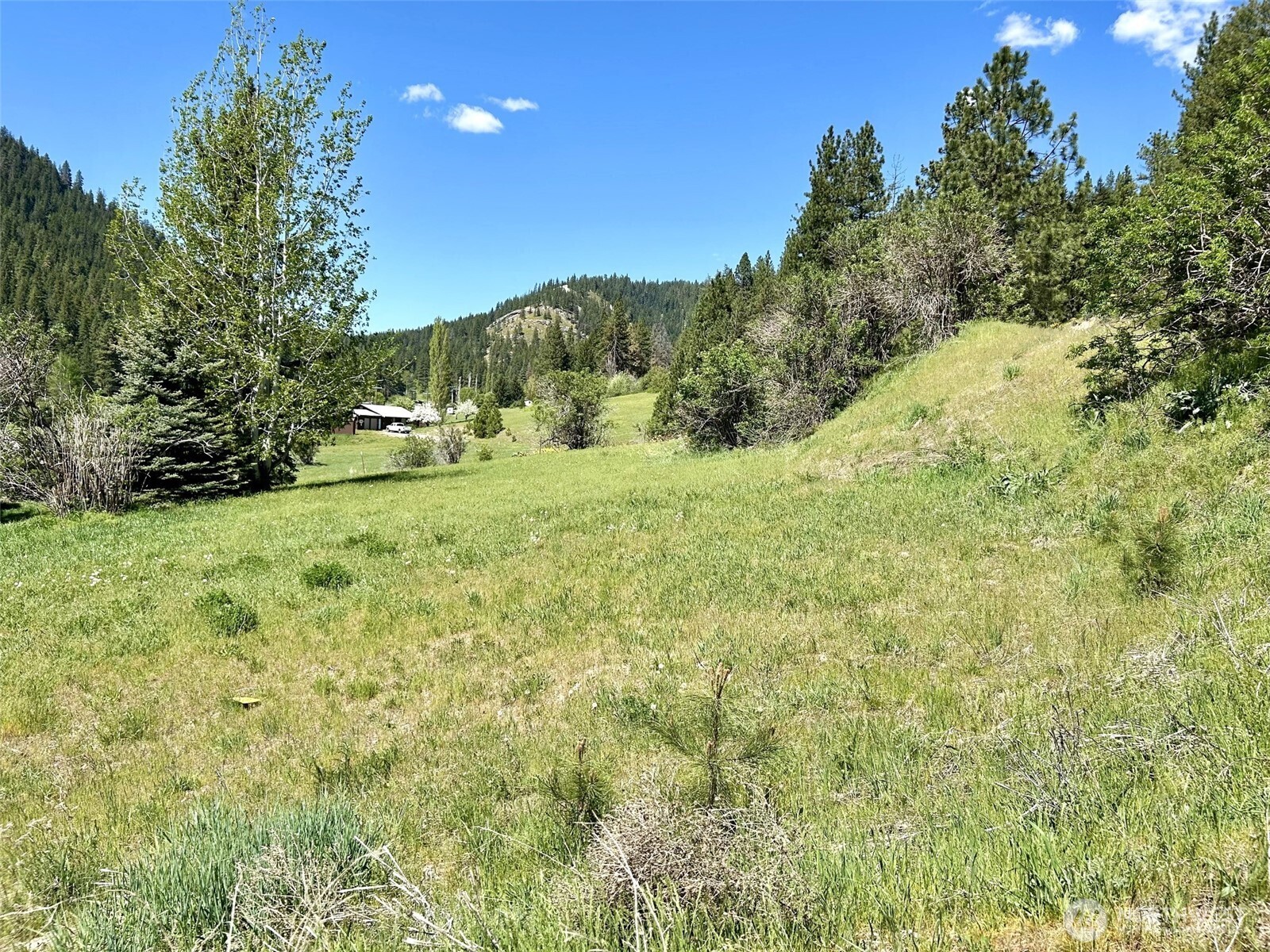 17490 Chumstick Highway Property Photo 9