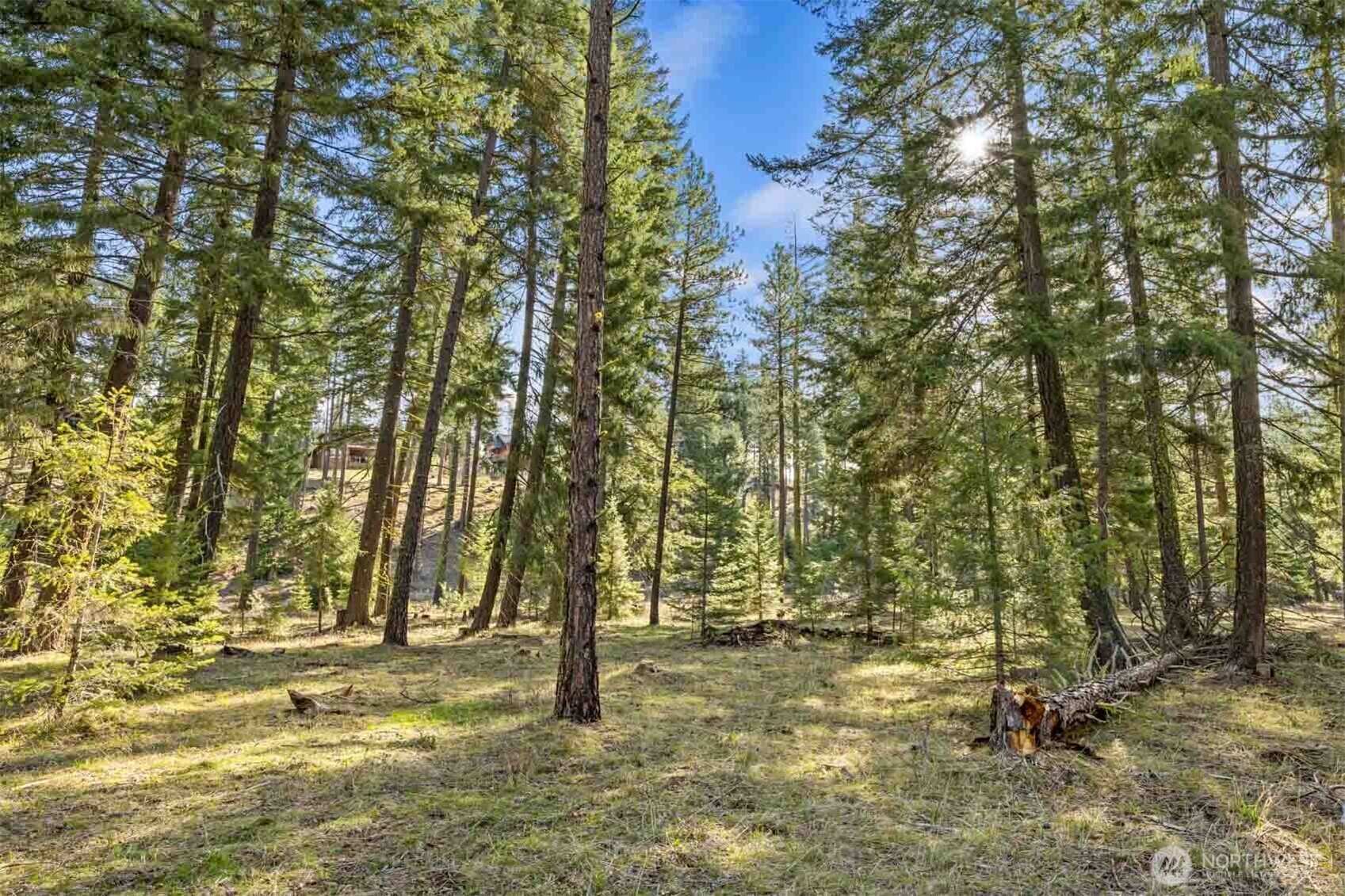 52 Wanawish Loop Property Photo 30