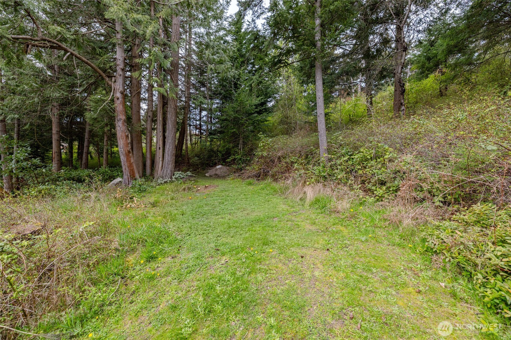 689 Sitka Place Property Photo 12