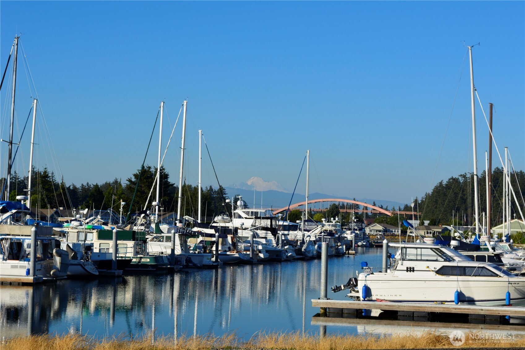 689 Sitka Place Property Photo 15