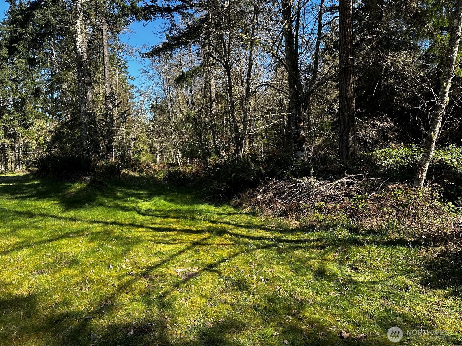9999 Lot 1 Robinson Road Property Photo 1