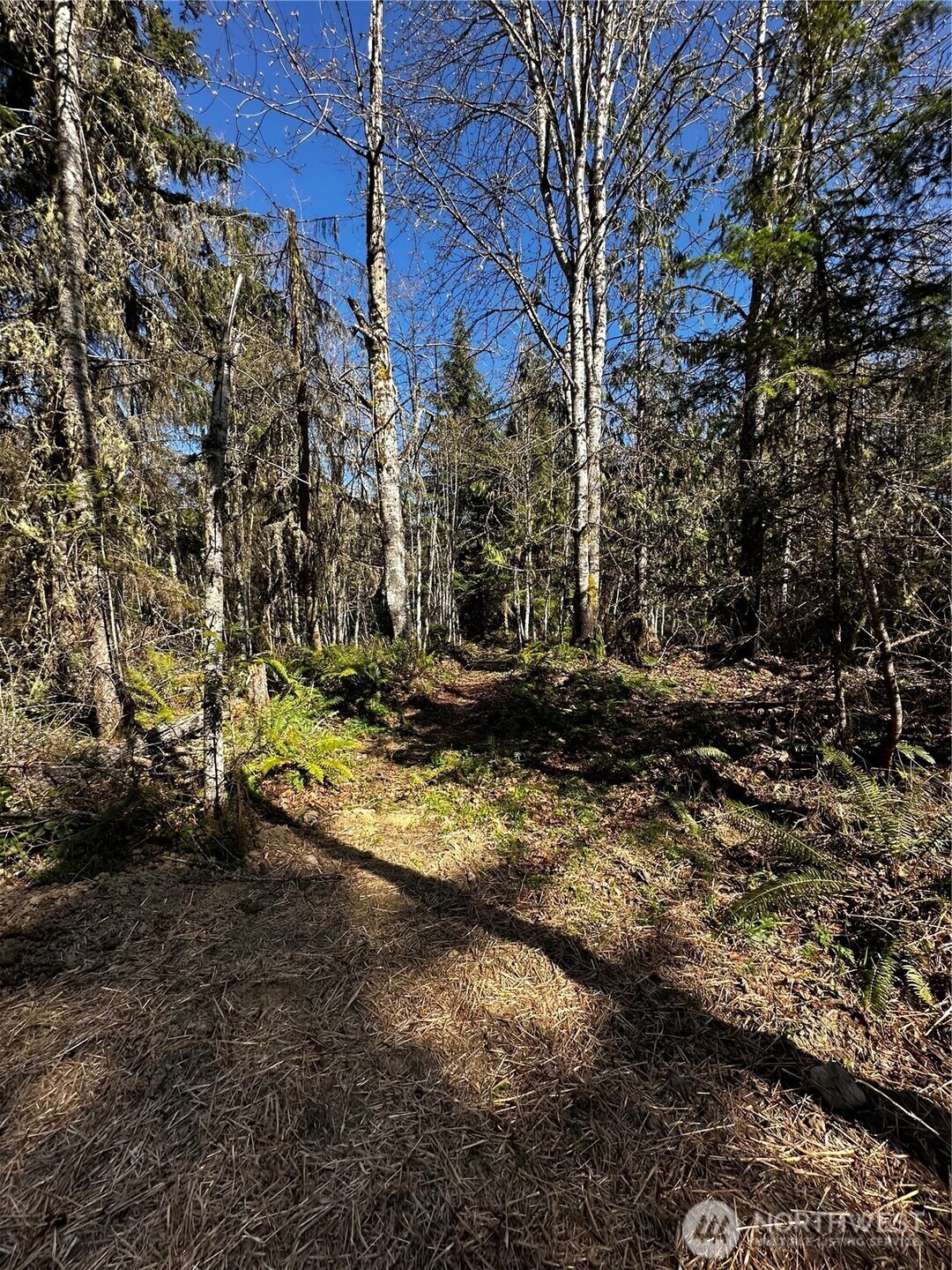 9999 Lot 1 Robinson Road Property Photo 10