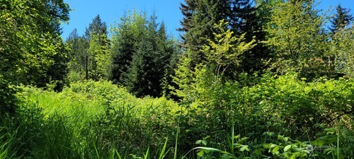 825 99th Avenue Property Photo 2
