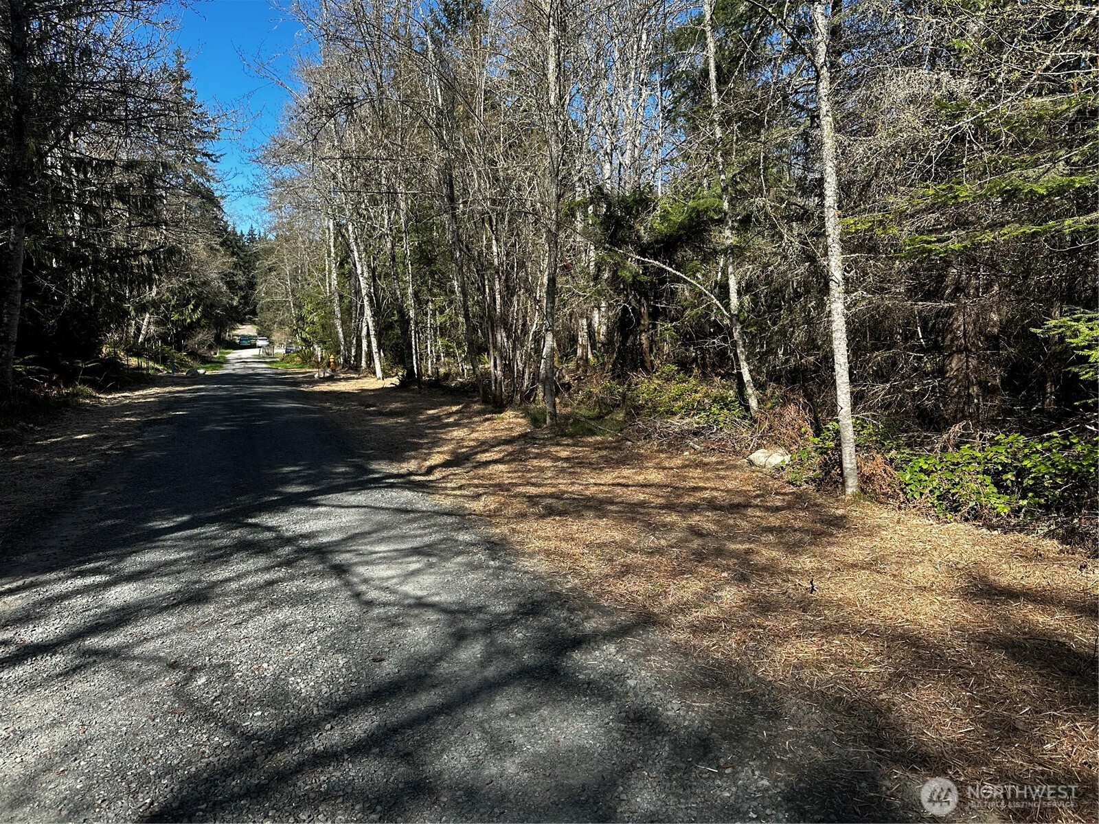 99 Lot 3 Robinson Road Property Photo 3
