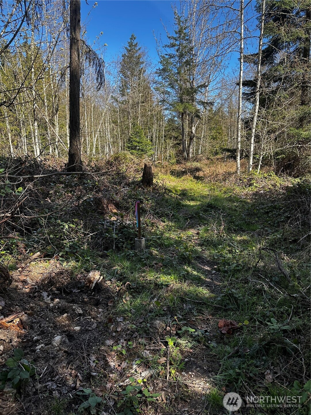 99 Lot 3 Robinson Road Property Photo 4
