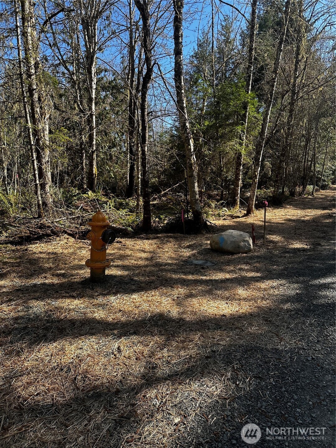 99 Lot 3 Robinson Road Property Photo 6