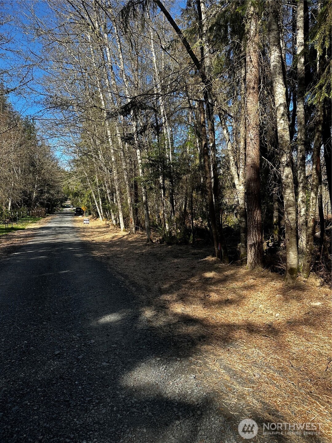 99 Lot 3 Robinson Road Property Photo 7