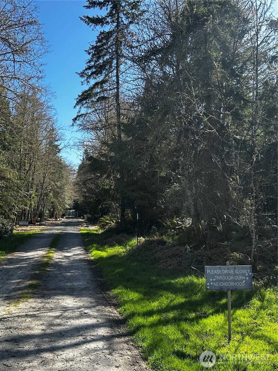 99 Lot 3 Robinson Road Property Photo 9