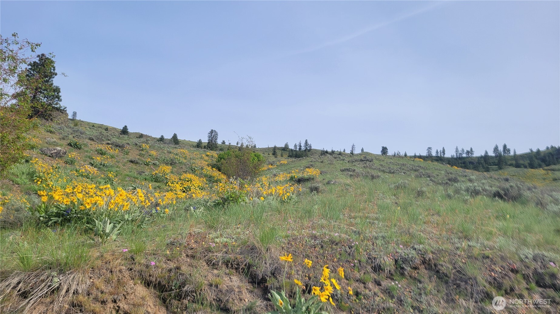 0 Coyote's Curve Road Property Photo 3