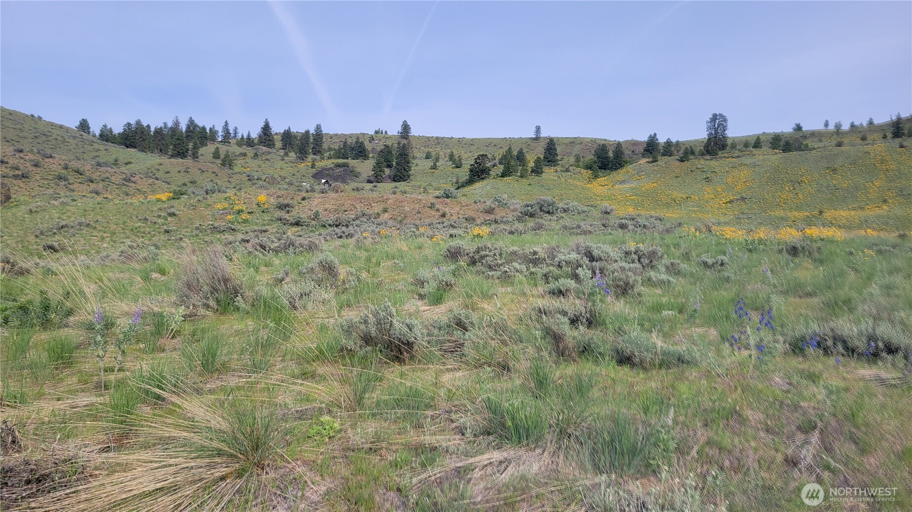 0 Coyote's Curve Road Property Photo 6