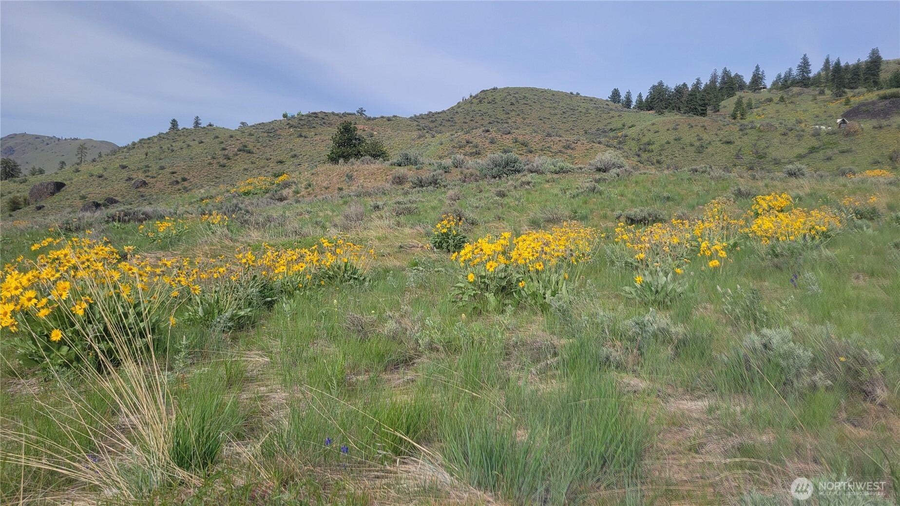 0 Coyote's Curve Road Property Photo 7