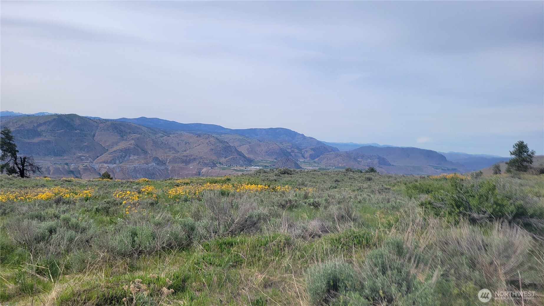 0 Coyote's Curve Road Property Photo 8
