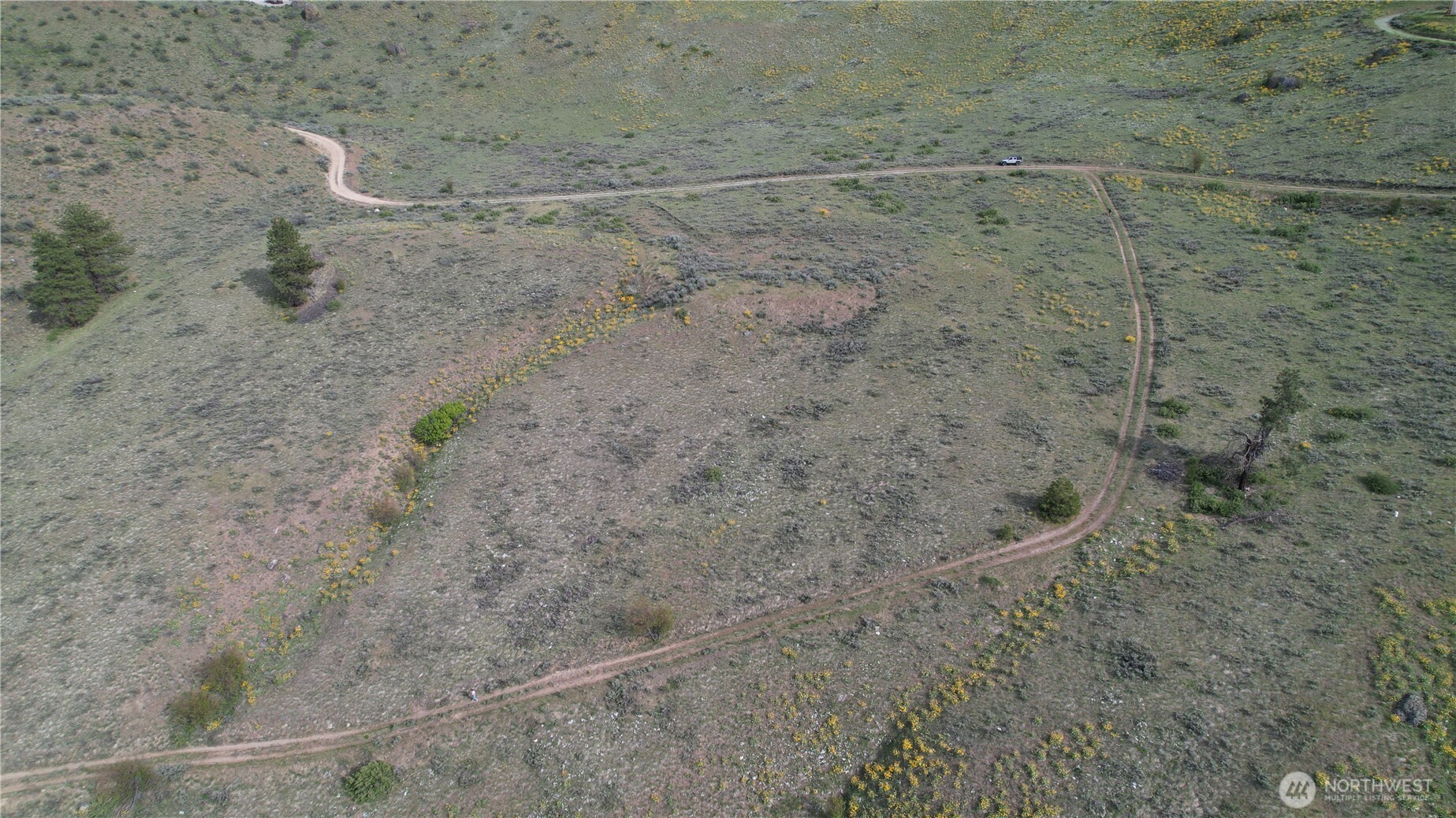 0 Coyote's Curve Road Property Photo 10