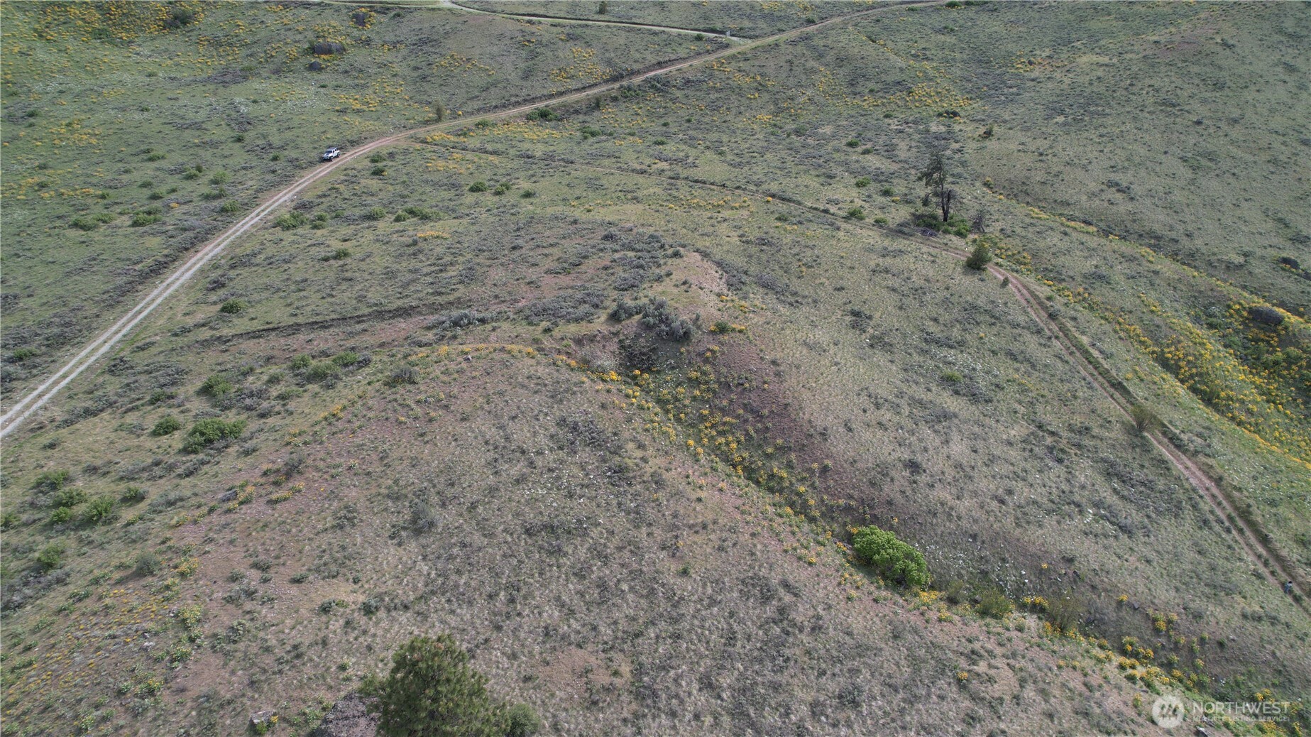 0 Coyote's Curve Road Property Photo 11