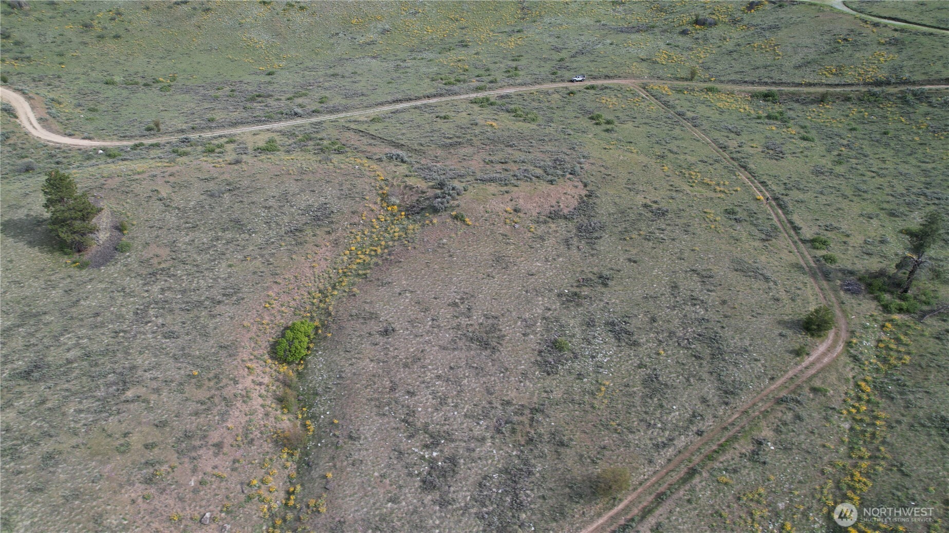 0 Coyote's Curve Road Property Photo 12