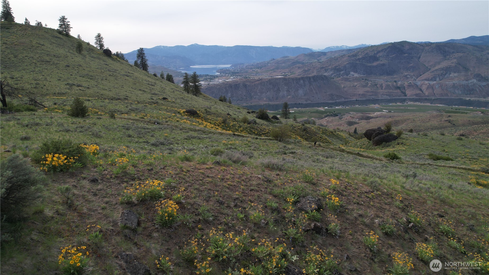 0 Coyote's Curve Road Property Photo 16