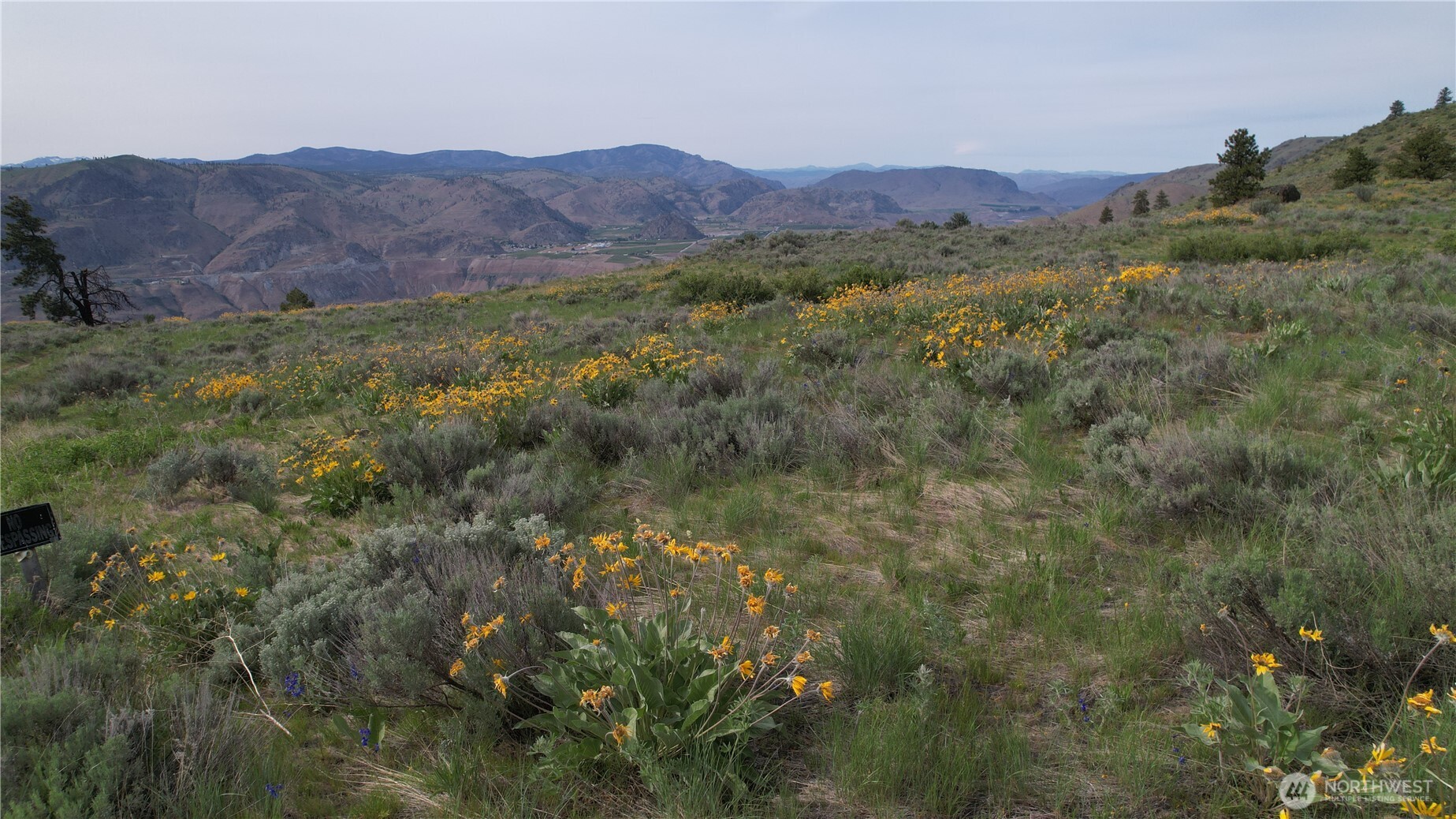 0 Coyote's Curve Road Property Photo 17