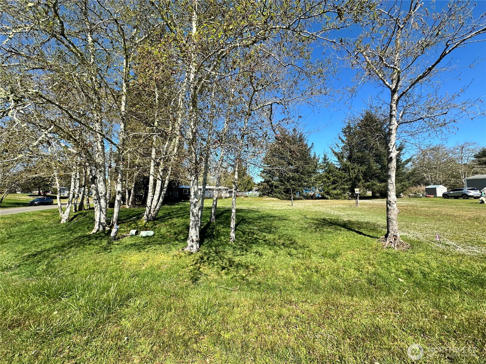 732 Edgewood Avenue Property Photo 6