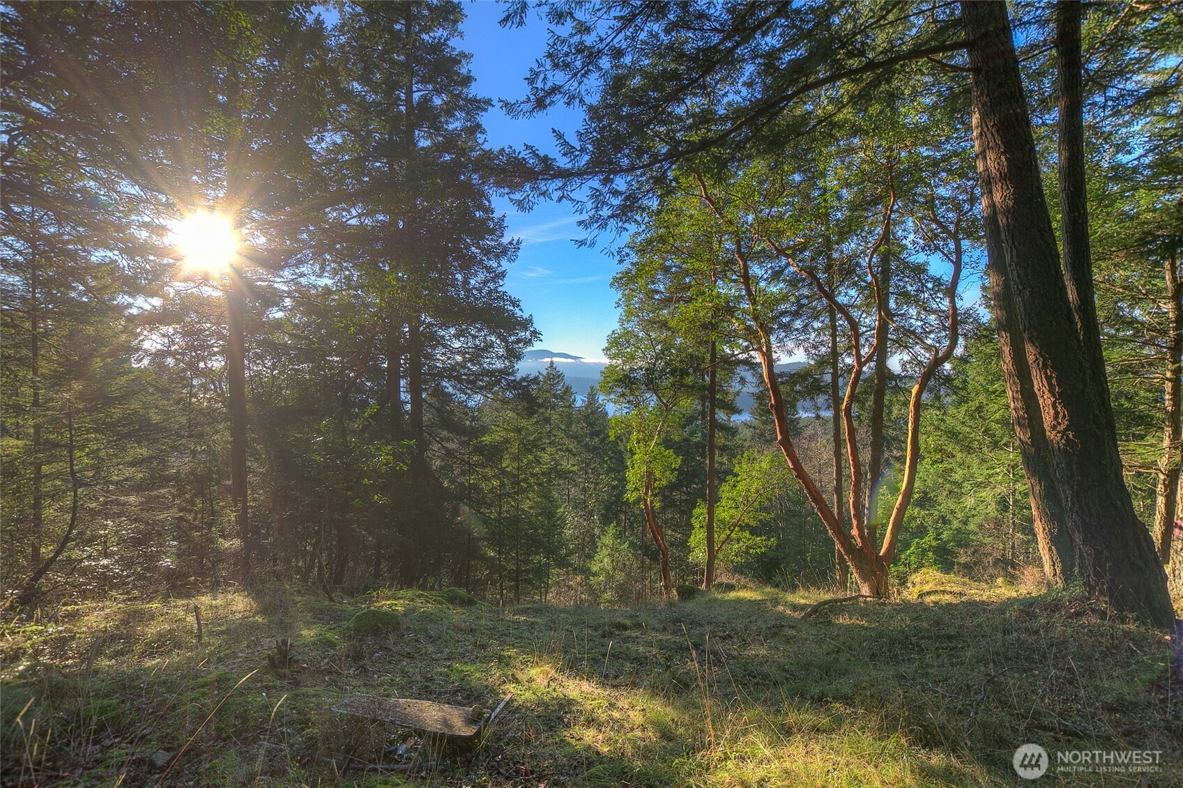 558 Buck Mt. Road Property Photo 1