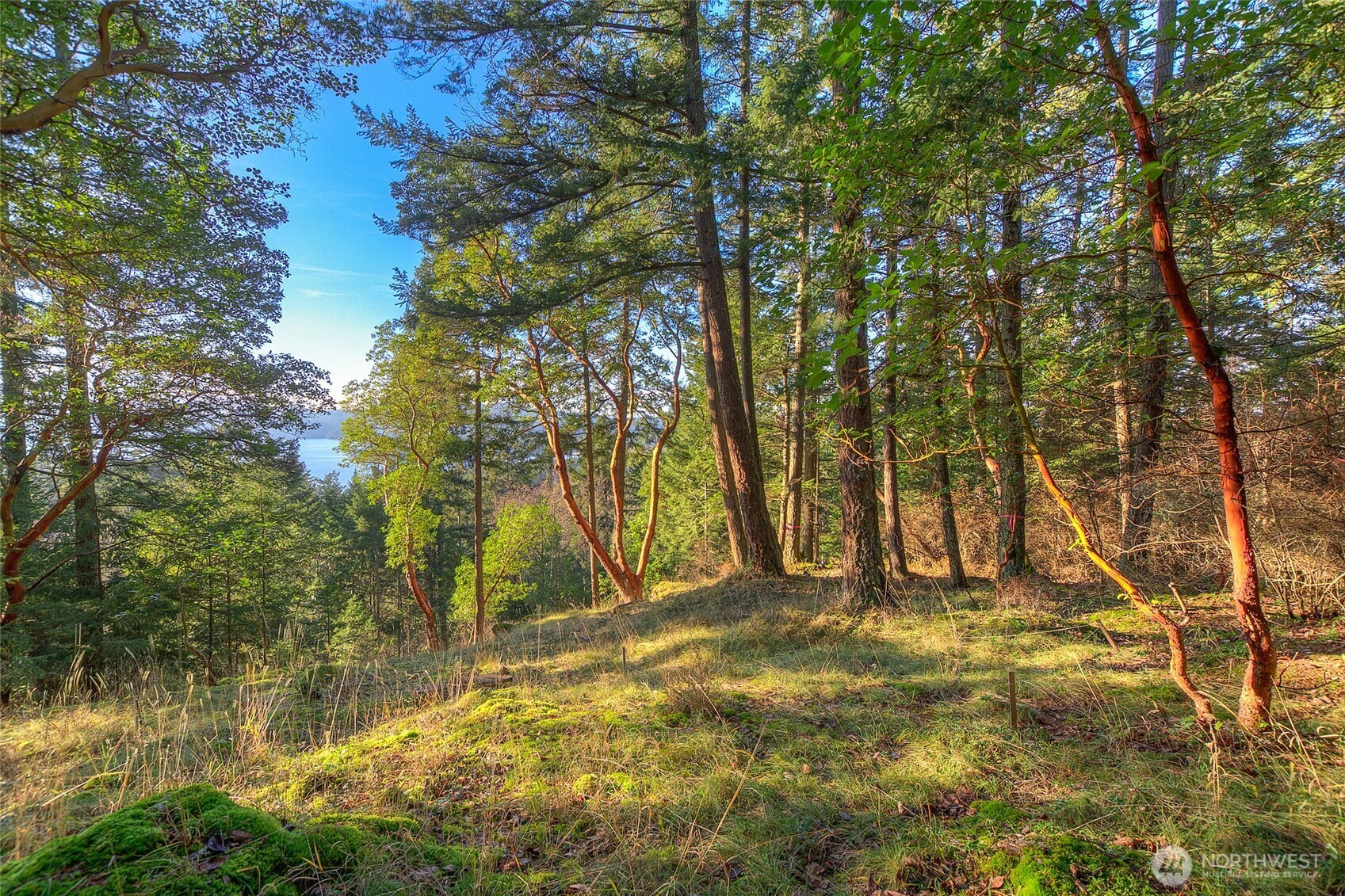 558 Buck Mt. Road Property Photo 3