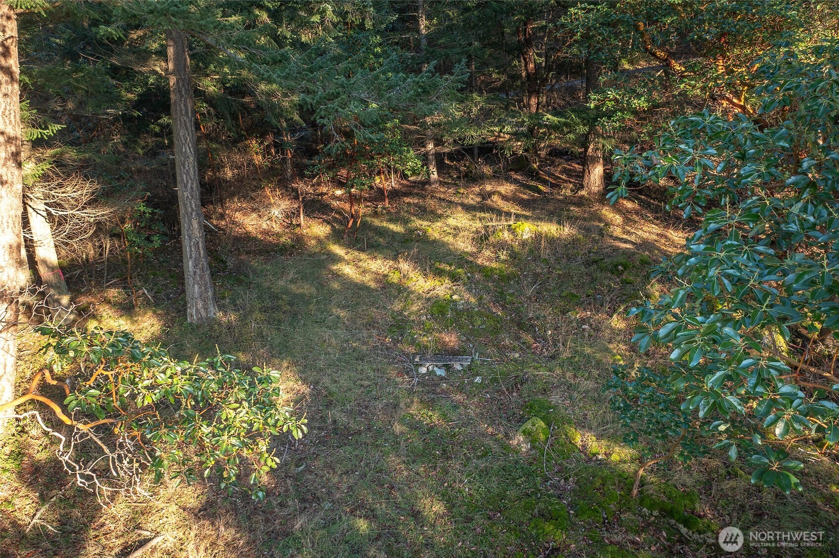 558 Buck Mt. Road Property Photo 6