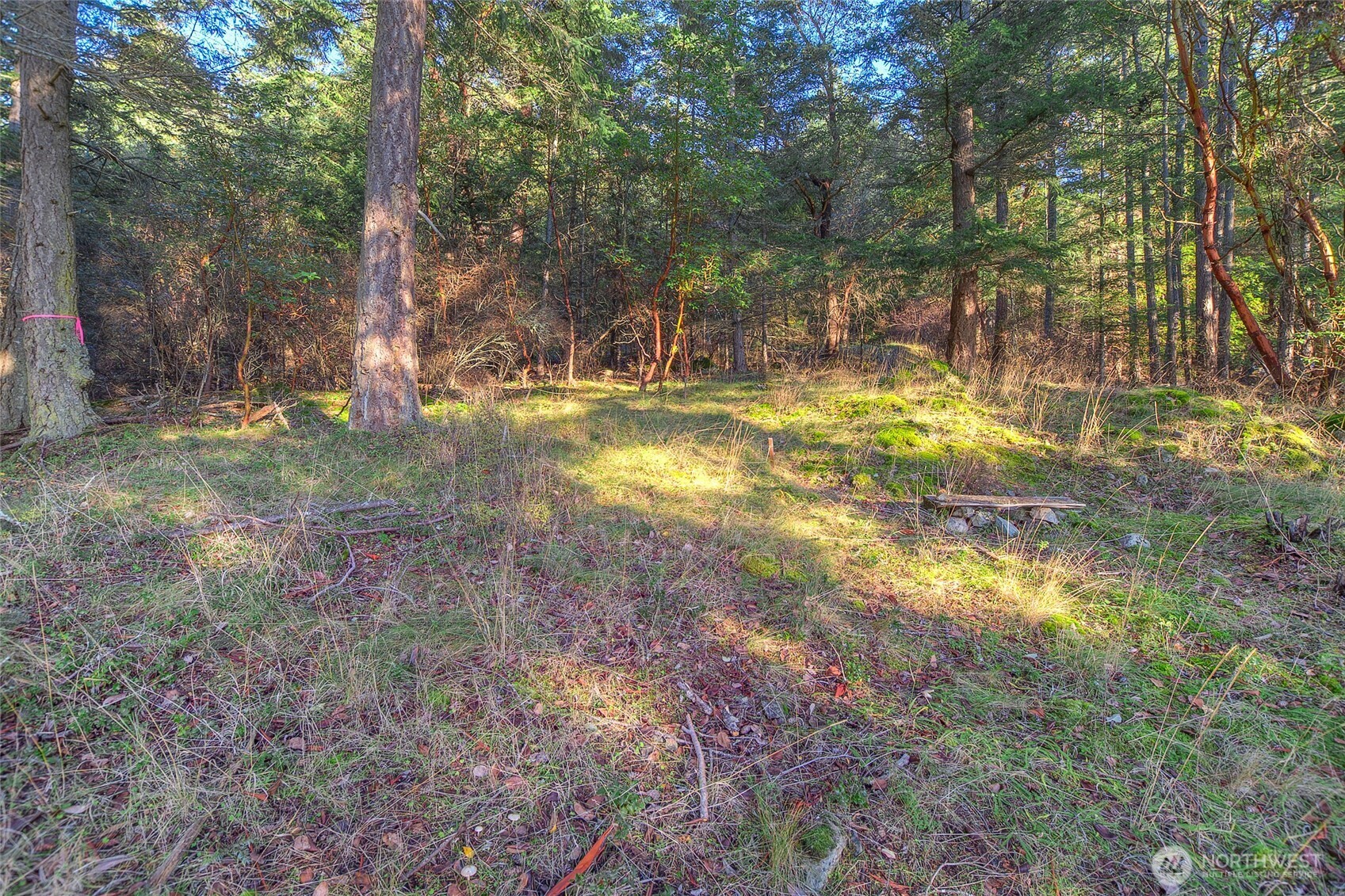 558 Buck Mt. Road Property Photo 7