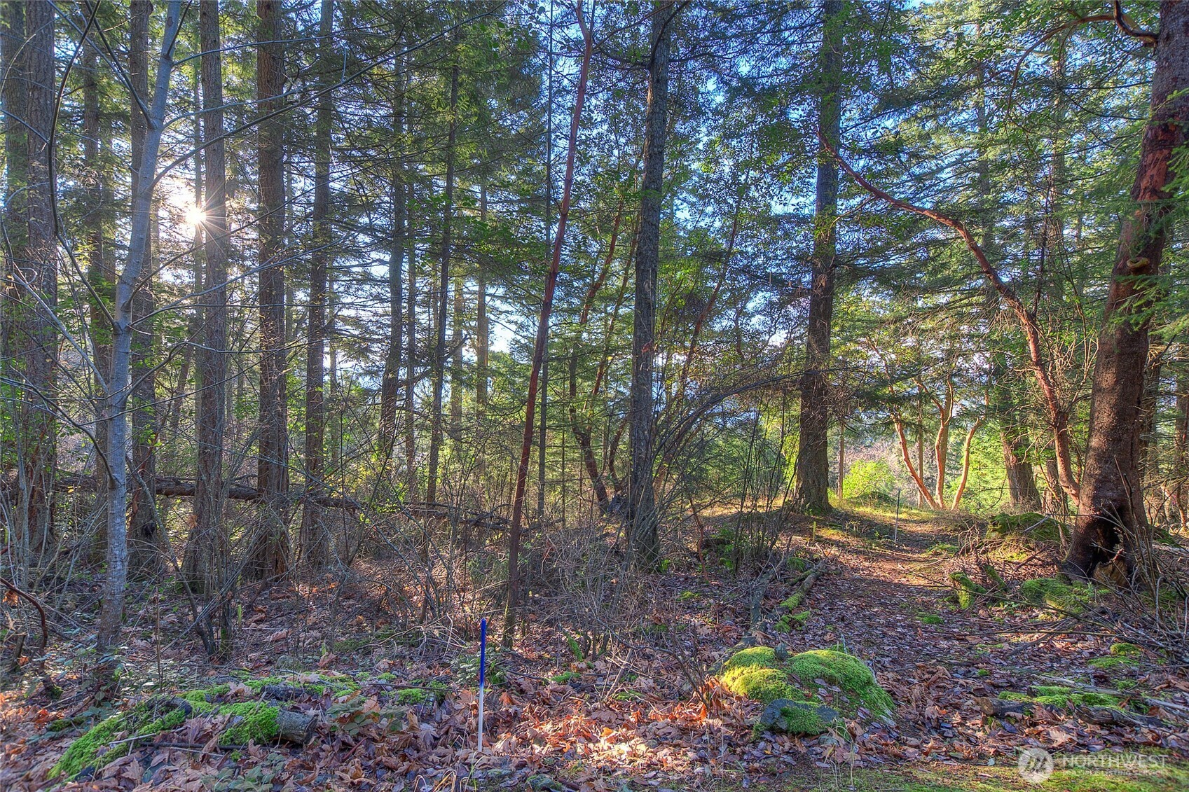 558 Buck Mt. Road Property Photo 8