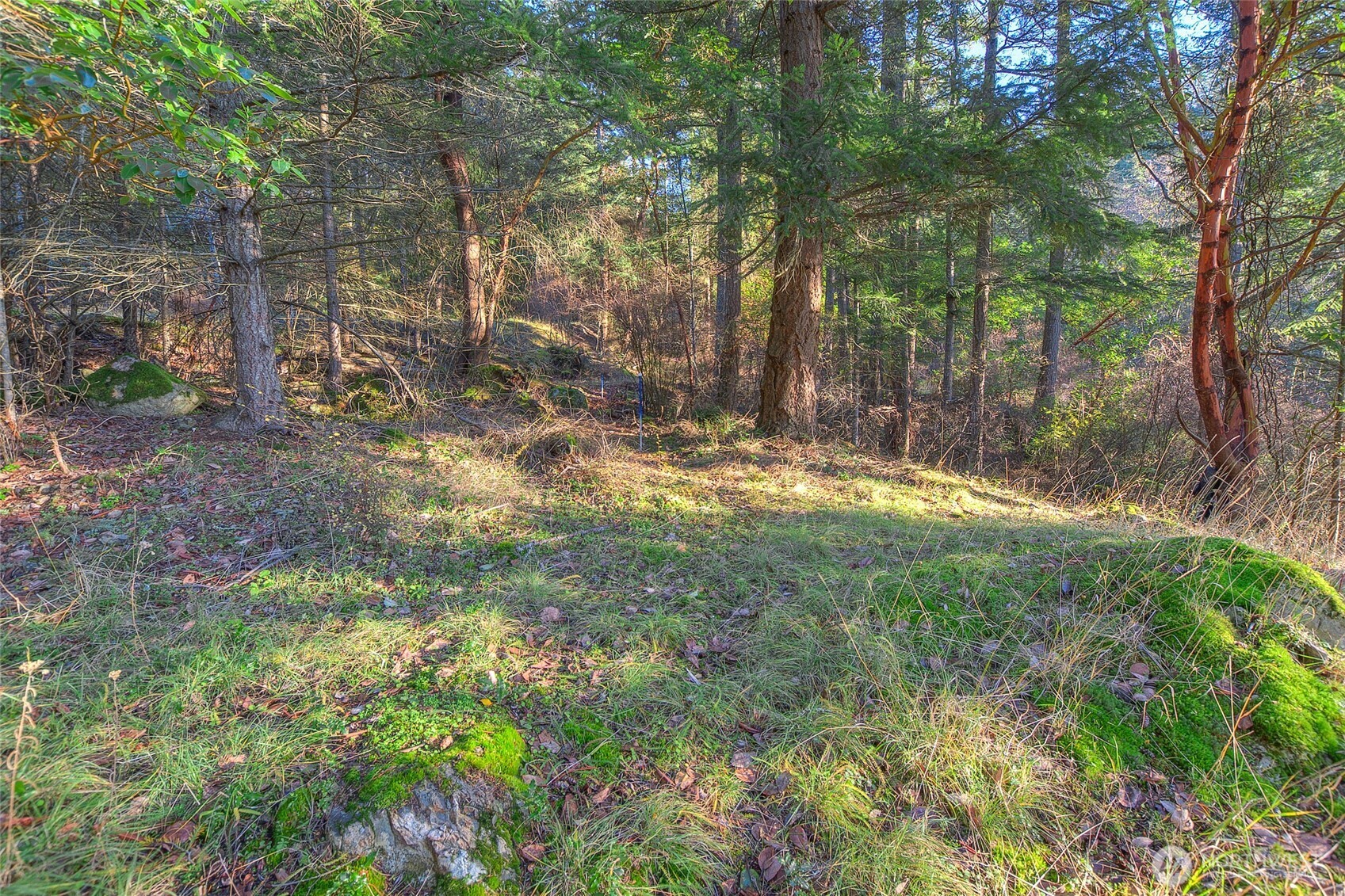 558 Buck Mt. Road Property Photo 11