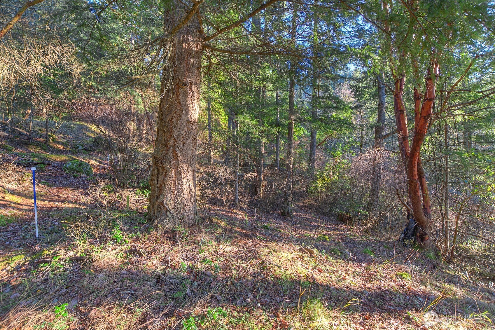 558 Buck Mt. Road Property Photo 12